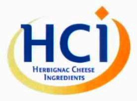Logo HCI