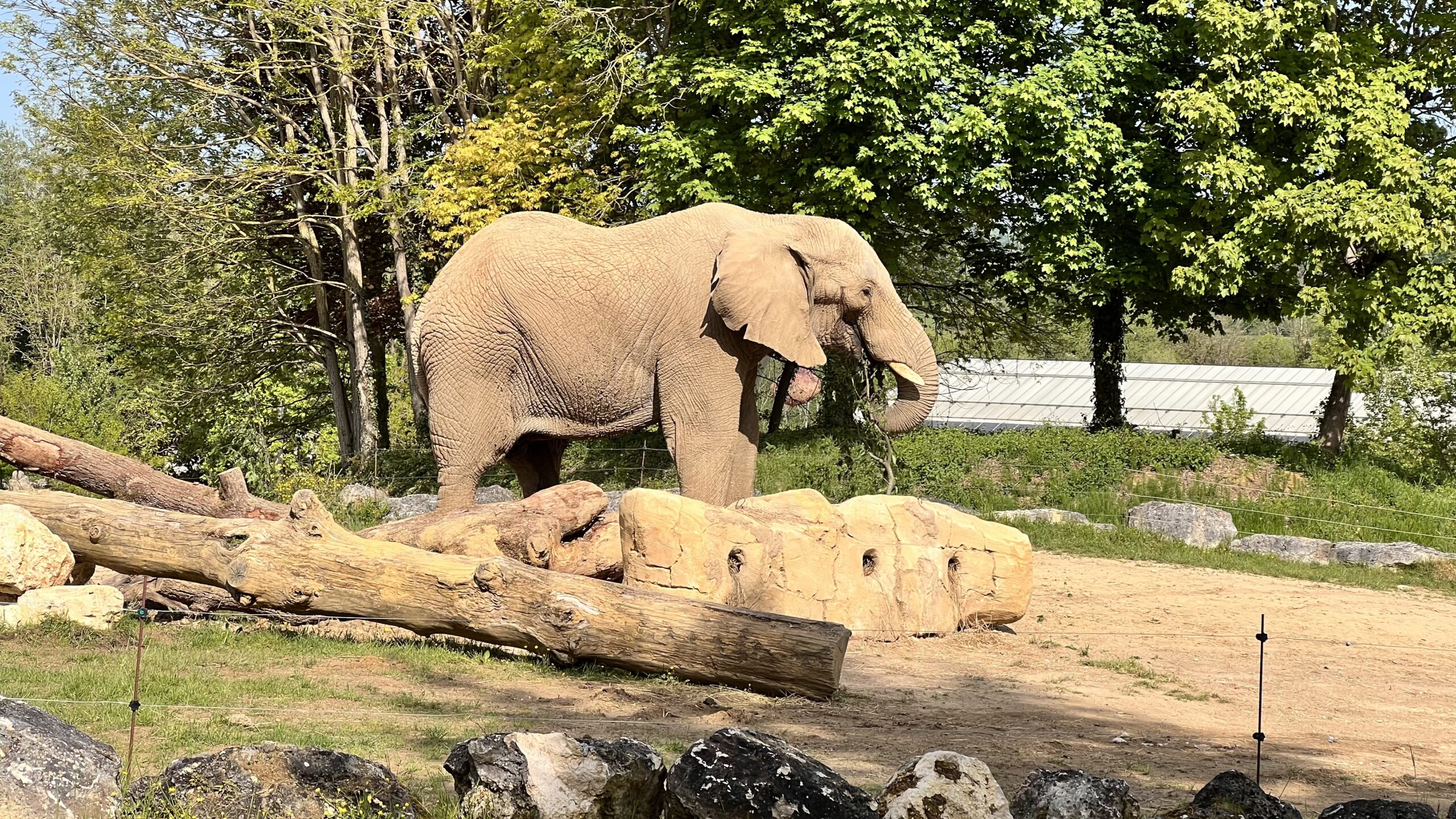 Les Plus Grand Zoo De France Le Zoo de Beauval: plus grand zoo de France ! - Va voir là-bas