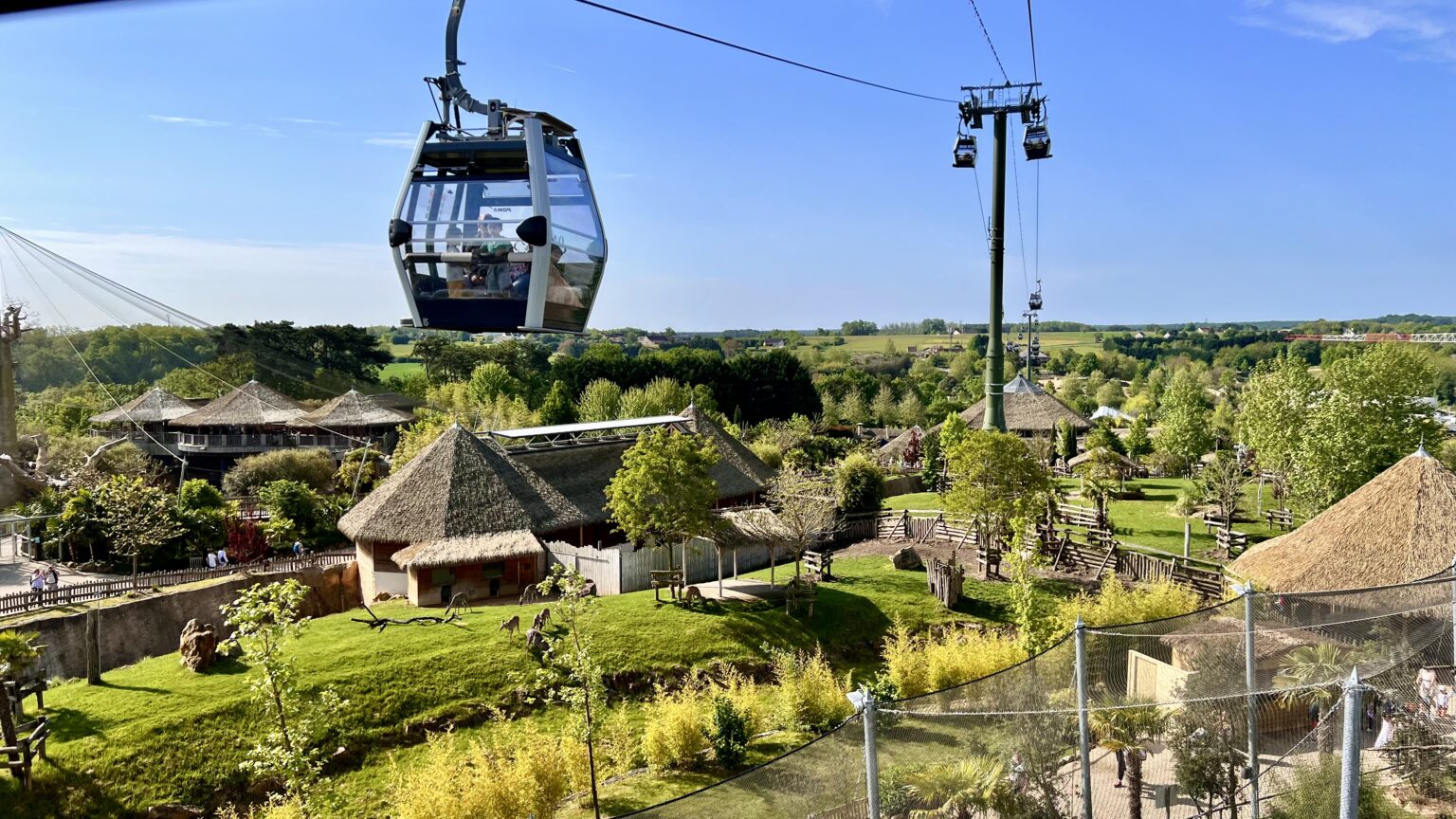 Le Zoo de Beauval plus grand zoo de France ! Va voir làbas — free download
