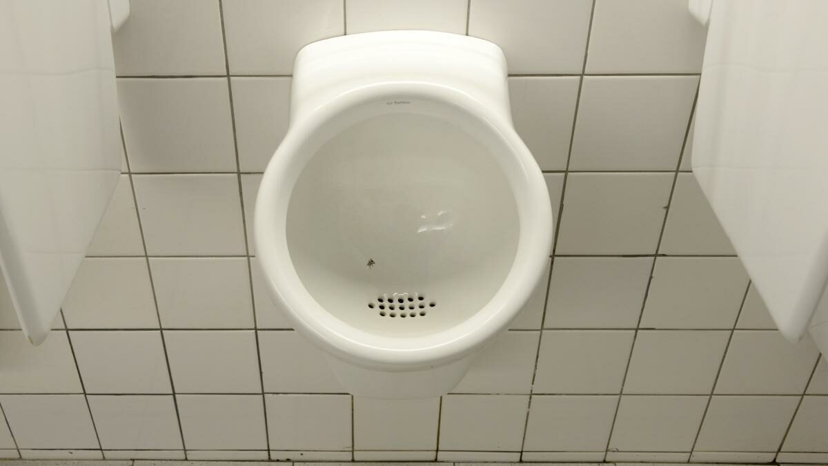 Toilettes aéroport amsterdam