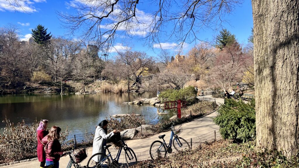 Des vélos au coeur de Central Park